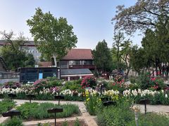 -山东大学(趵突泉校区)