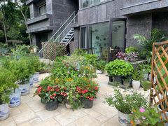 -水门桥面馆(东坡雅居店)