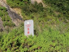 -大九湖