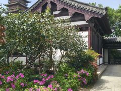 -常熟方塔园