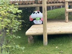 -鄂尔多斯野生动物园