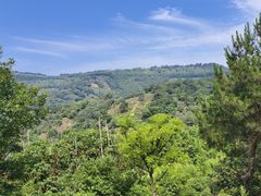 -东山风景区(洞庭东山)