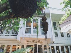 -Fern Forest Cafe