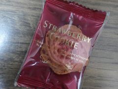 -关西国际机场直营免税店