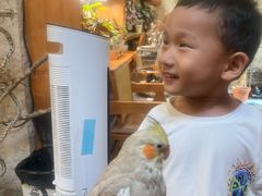 -吉丁鸟咖·异宠·寄养