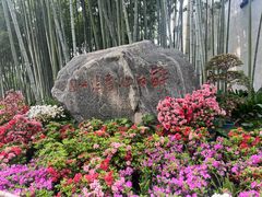 -上海醉白池公园