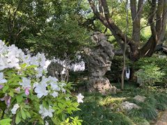 -上海醉白池公园