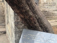 -康百万庄园