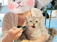 -猫儿山۰猫主题餐厅