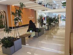 -凯德MALL(望京店)