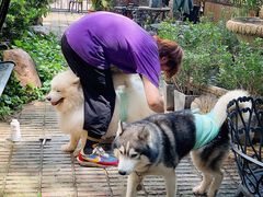 -more than meow吴止猫主题餐厅(承德 中船汇店)