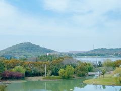 -佘山世茂艾美·御珍轩中餐厅