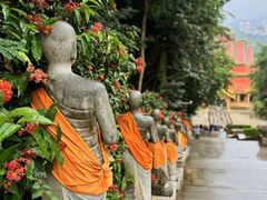 -西双版纳勐泐文化旅游区