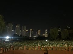-都喜天丽富都青枫苑酒店-青枫小筑