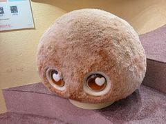 -美罗城