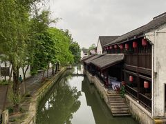-鲁镇