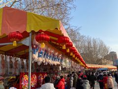 -朝阳公园游乐园