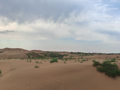 -银肯塔拉沙漠生态旅游景区