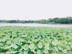 -潜龙渠公园