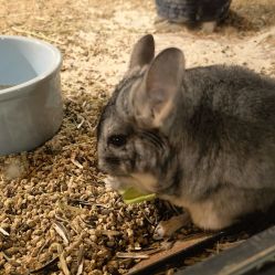 -酷嗒动物文化乐园(cutezoo西溪乐天城店)