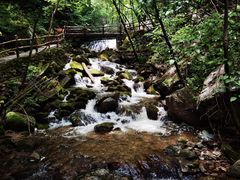 -青峰峡国家森林公园