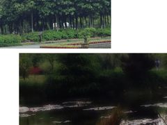 -白马涧龙池景区