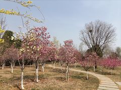 -北京西山国家森林公园