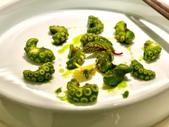 芥末青酱八爪鱼-CHIC1699远洋私厨