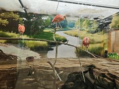 -洛阳龙门海洋馆