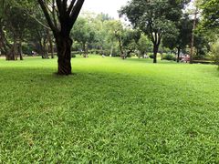-晓港公园