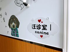 -瑞派先诺宠物医院•猫专科•普外科•中兽医(佛山院)