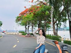 -长洲岛
