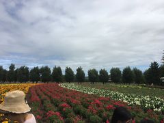 -富田农场