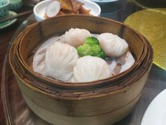 招牌虾饺皇-伯乐居茶艺馆(石岐大信店)