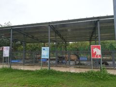 -广东花都香草世界旅游度假区