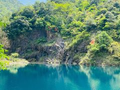 -大奇山国家森林公园