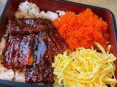 -Hatsune隐泉日式料理(三里屯太古里店)