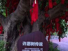 -东澳岛