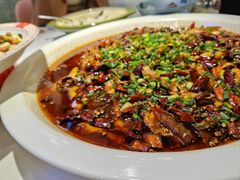 -新概念来凤鱼(璧山店)