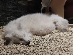 -绿色星球动物主题公园