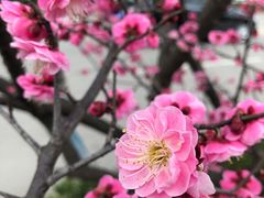 -相门城墙文化休闲景区