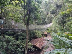 -西双版纳基诺山寨