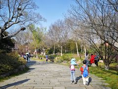 -茅山东方盐湖城景区