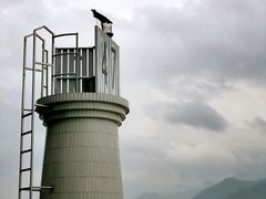 -羚羊峡古栈道森林公园