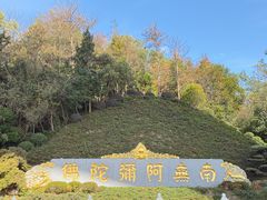 -庐山风景名胜区-东林大佛