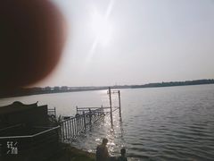 -丁香湖公园