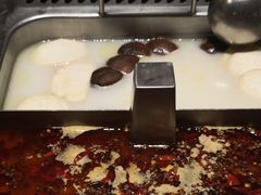 -海底捞火锅(公益西桥店)