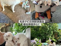 -J Create城市露营咖啡·简餐·宠物(上海动物园店)