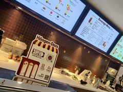 -哈根达斯(石家庄北国店)