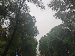 -西宁市人民公园(城西区)